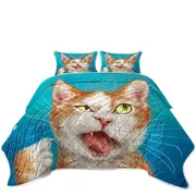 Funny Cat Drawings Cool Looking Kitty Coverlet