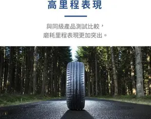 《大台北》億成汽車輪胎量販中心-米其林輪胎 PS4【205/40R18】