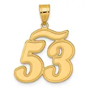 14k Yellow Gold Brushed Border Script Number 53 Pendant