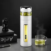 Portable Double Layer Glass Tea Cup with Temperature Display