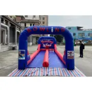 6.5x3x3m Double Lane Inflatable Bowling Ball Game Inflatable Bowling Alley Balls