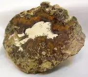 Brown White NATURAL GEODE - Crafts or Pets