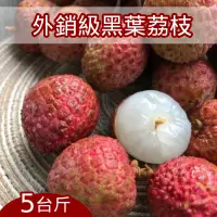 在飛比找台灣好農優惠-【上青農產】外銷級黑葉荔枝禮盒(5斤裝)