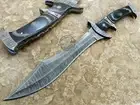 15.50" Custom Hand Made Beautiful Damascus steel Kukri Bowie knife (3042)