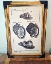 Ornate gold picture frame 18X27
