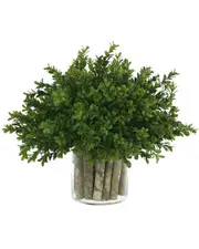 Creative Displays Boxwood In A Glass Vase With Birch Sticks
