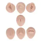 Body Piercing Practice Model Simulation Nose Tongue Model Ear Model Flexible For