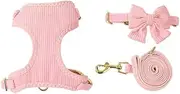 Cute Small Dog Collar Harness & Leash Set, Adjustable Dog Collars and Leashes, Breathable Soft Mesh Padded Dog Vest for Puppies Small Dogs Walking (Pink, M)