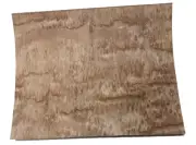 Eucalyptus Pommele wood veneer sheet 10" x 13" on paper backer 1/40" thickness