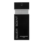 Silver Scent 200ml EDT By Jacques Bogart (Men's)
