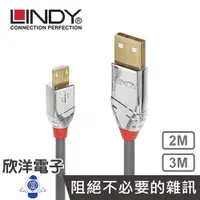 在飛比找蝦皮商城優惠-LINDY 林帝 台中旗艦店 CROMO鉻系列 USB2.0