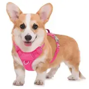 No Pull Dog Harness Large Step in Reflective Dog Harness with Medium Pink