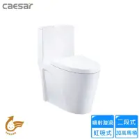 在飛比找momo購物網優惠-【CAESAR 凱撒衛浴】省水單體馬桶/管距40(C1464