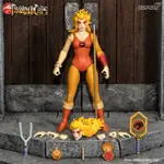 現貨在台 SUPER7 霹靂貓 7吋 豹貓 3頭雕 CHEETARA THUNDERCATS 獅貓 虎貓 普密貓