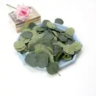 Decoration DIY Plant Eucalyptus Leaves Artificial Eucalyptus Petals Fake Leaves