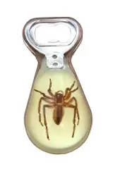 Bottle Opener with real Spider insect -magnetic-yellow background- lucite