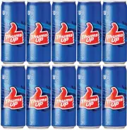 10 Cans Thumps Up Indian Drink 300ml Each Can Soft Drink