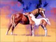 Horse Tile Backsplash Julie T Chapman Equine Art Ceramic Mural RW-JTC008