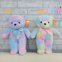在飛比找蝦皮購物優惠-彩色熊 15吋 娃娃 彩色泰迪熊 彩虹熊 熊玩偶 熊娃娃 彩