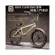 [I.H BMX] KINK CURB BMX 整車 超值入門車款 黃金色 地板車/單速車/滑步車/平衡車/BMX/越野車/MTB