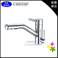 在飛比找Yahoo!奇摩拍賣優惠-☆水電材料王☆ Caesar 凱撒 凱薩 衛浴無鉛RO兩用立