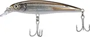 Rapala X-Rap Saltwater Fishing Lure