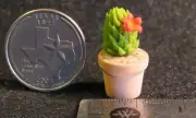 Potted Cactus Dollhouse Miniature 1:12 A1607 Garden Desert Patio Western Window