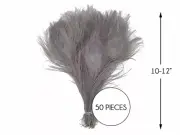 50 Pieces – Silver Gray Bleached & Dyed Peacock Tail Eye Wholesale Feathers Bulk