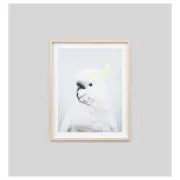 Cockatoo Print, Blue/Raw