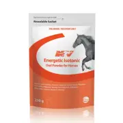 Ceva NV Energetic Isotonic Powder Pre-Race Drench 250g