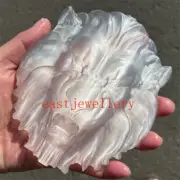 5" Carved Natural Selenite Lion Skull Quartz Crystal Skull Reiki Healing 1PC