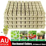 50/100/200Pcs Grow Starter Cubes Hydroponic Rockwool Plugs Grow Media Cloning AU