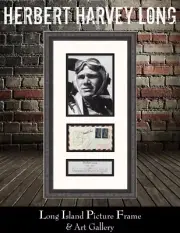 Herbert H Long World War II Double Ace Pilot First Day Cover Custom Framed