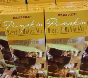 2 Packs Trader Joe's Pumpkin Bread & Muffin Mix 17.5 oz Each Pack