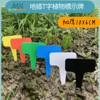 在飛比找蝦皮購物優惠-【植物標籤】【10*6cm T字標籤】 多肉植物標籤 園藝標