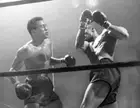Boxers Beau Jack and Bob Montgomery slug it out at Madison Square .. Old Photo