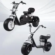 18 inch Electric Scooter Adult Travel Ride Electric Tricycle 60km/h 50km Range