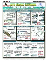 Saltwater Bait Rigging #6 (Circle-Hook Rigs)- Reference Guide