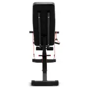 LSG GBN-007 6 Level FID Bench with Preacher Pad AU Stock Premium Quality ✨
