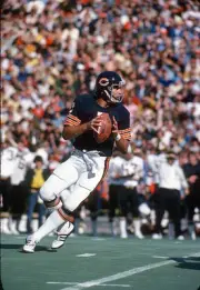 Bob Avellini Chicago Bears drops back to pass v the New Orleans Sa- Old Photo 1