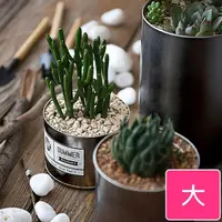 在飛比找momo購物網優惠-【Meric Garden】創意北歐ins風鐵罐/盆栽收納罐
