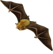 [HANSA] Nectar Bat Plush Toy, 42 cm Width, Orange