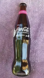 COCA COLA CALIFORNIA RASPBERRY 12oz BOTTLE