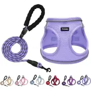 Harness and Leash Set for Small Dogs, Small Size Harness with Soft Mesh and Reflective Rope for Small Dogs (Lavender,M)