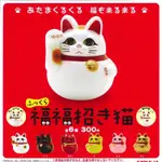 🐱貓星人🉐️圓滾滾 福福 招財貓 扭蛋 日本正版 達摩 日式 和風 招財貓 扭蛋 扭蛋 公仔 招福 幸運物