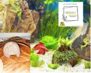 Handmade Natural Coconut Shell Cave Fish Shrimp Aquarium Reptile Gecko hide