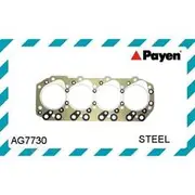 Payen Head Gasket - AG7730
