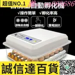 特價✅孵化機 110V12V 自動雞蛋孵化器 24366496枚蛋 雞蛋孵化機 禽雞鴨家禽全自動孵蛋器