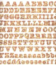 Creative Memories BOLD ABC / 123 Stickers - GIRAFFE PRINT