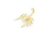 Scorpion, Cave, Plastic Toy Insect Kids Gift, Realistic Model, Gift 2.5" F765
